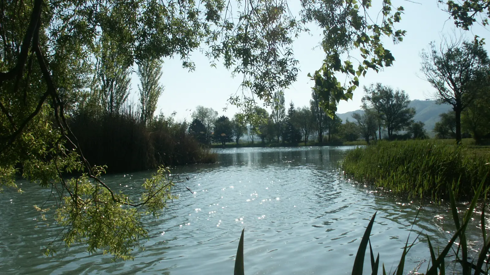 Lac de pêche des Buissonnades à Oraison