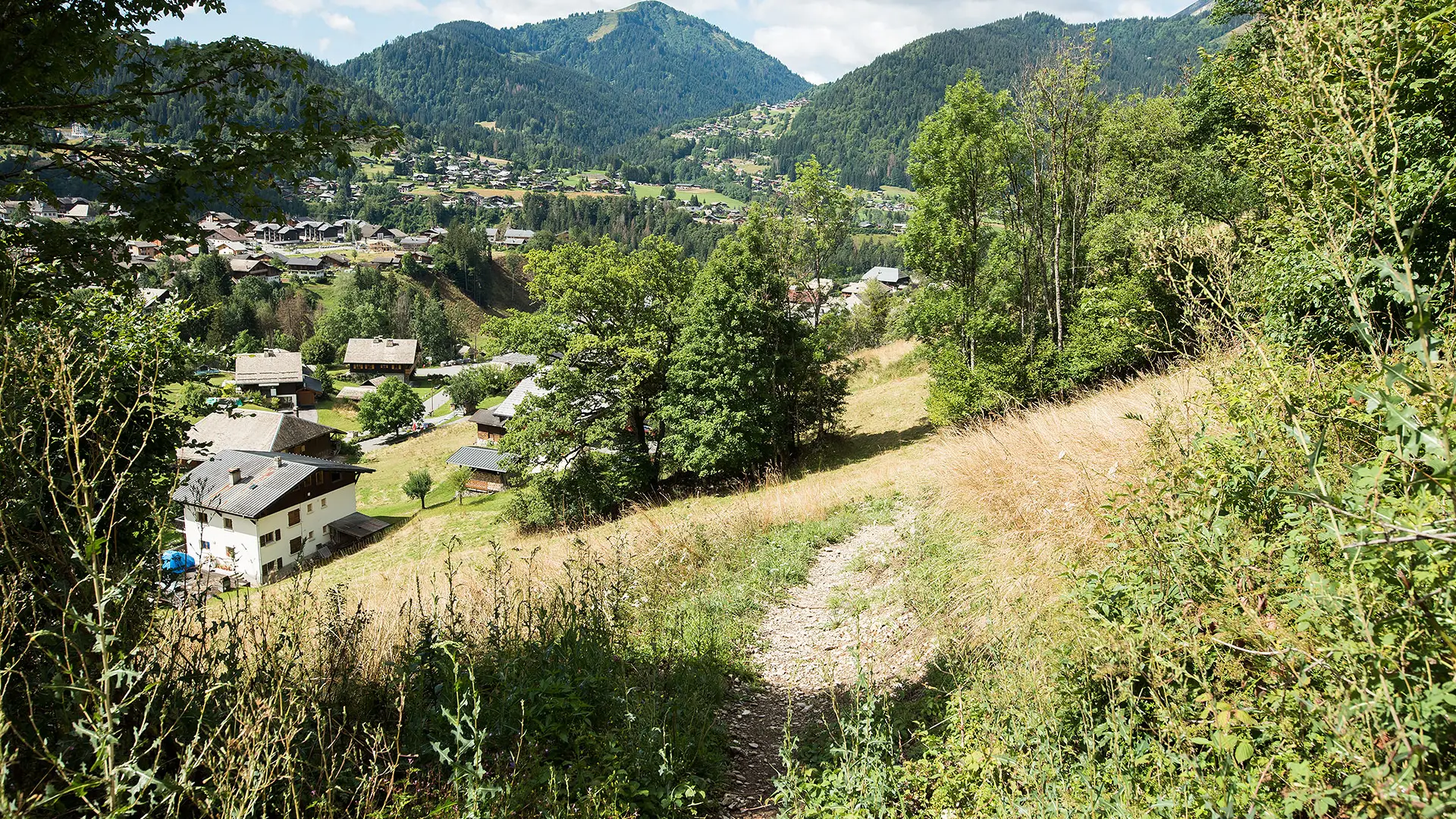Sortie de la forêt sur le chemin du retour