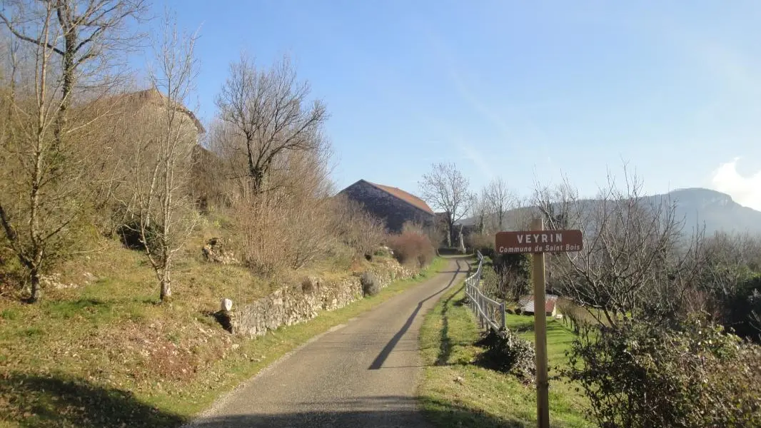 route devant chez nous en venant de la forêt