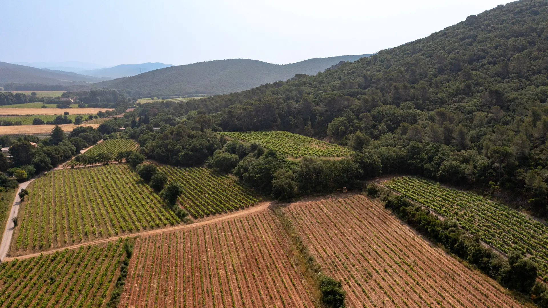 Our La Roquette Vineyard