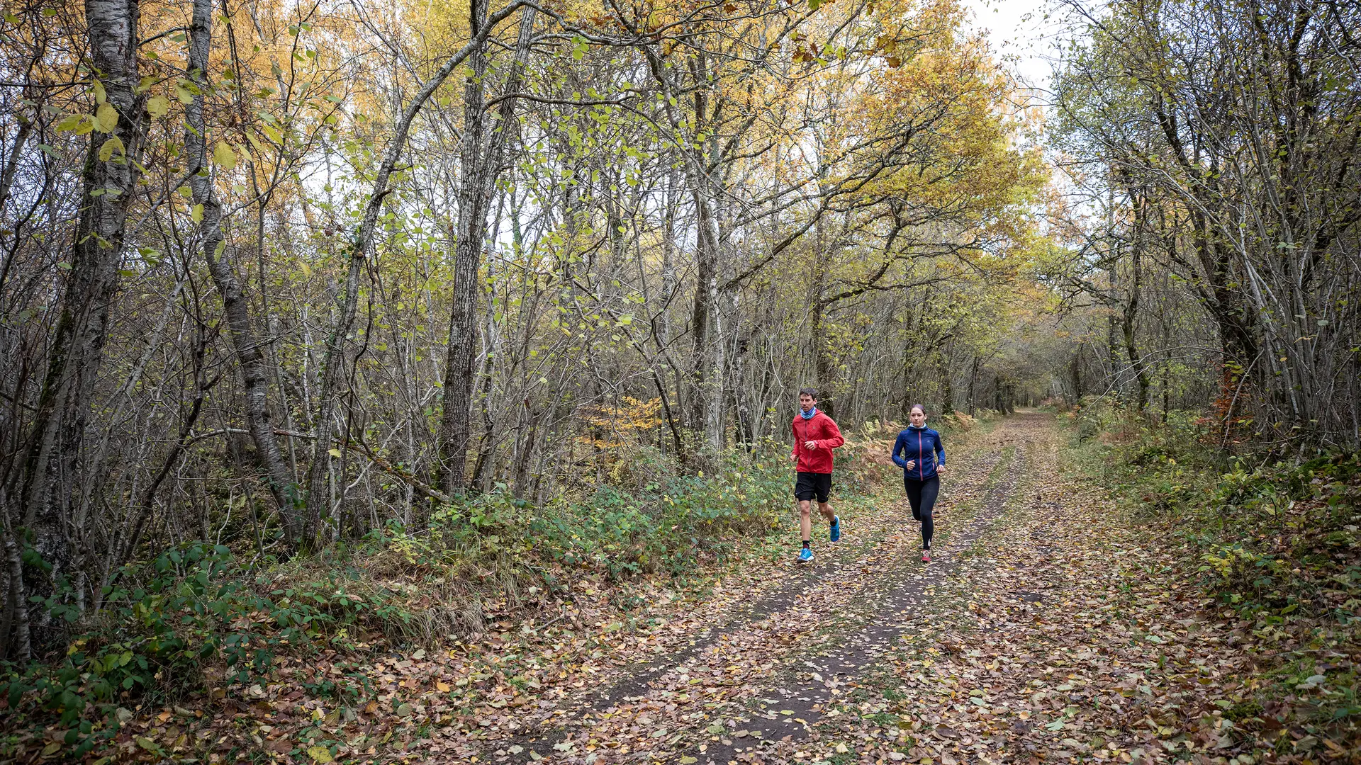 Sur les hauteurs de Volvic