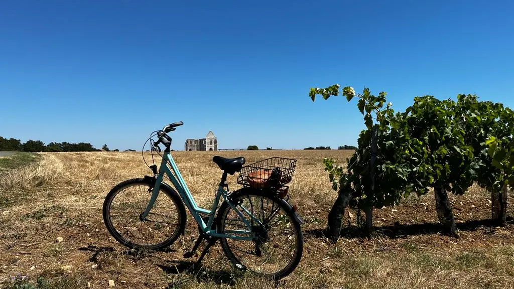 Vélo adulte confort