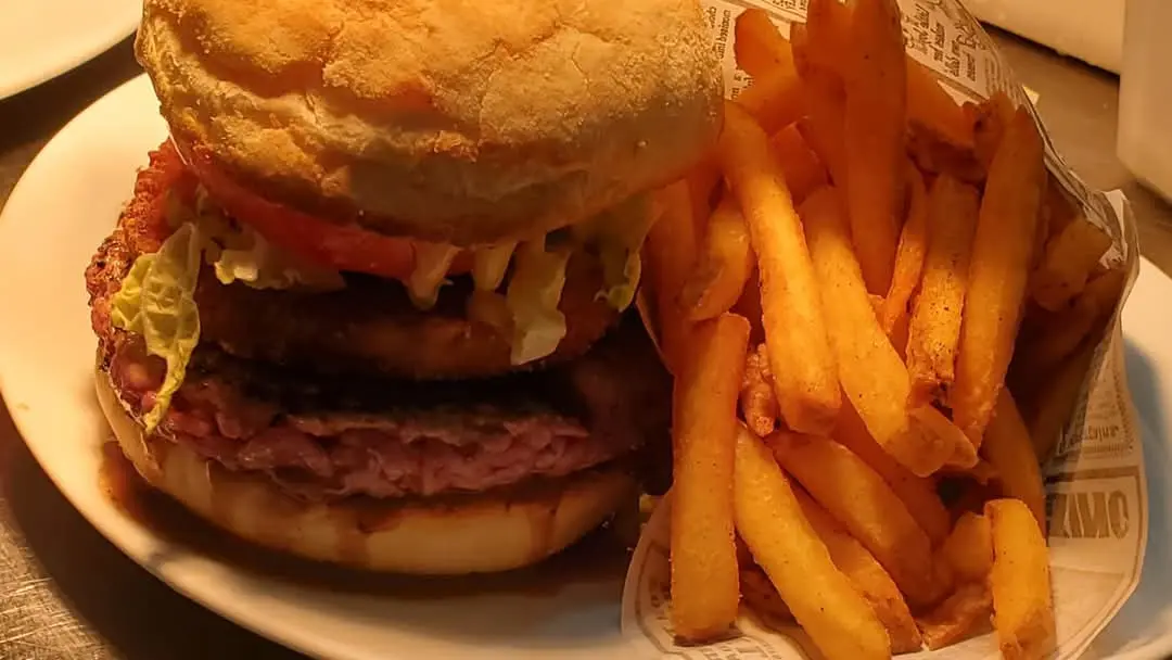 Tout un panel de burgers maison