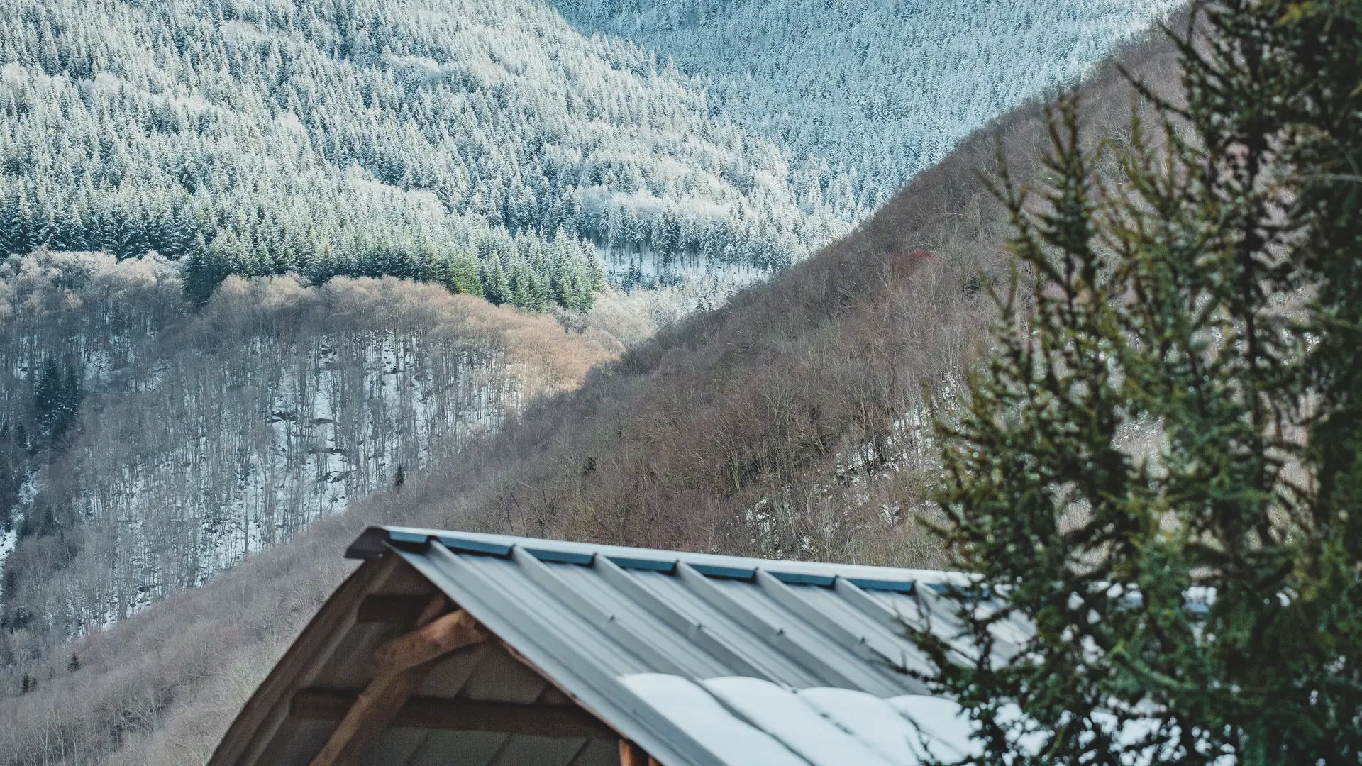 paddock vue montagne