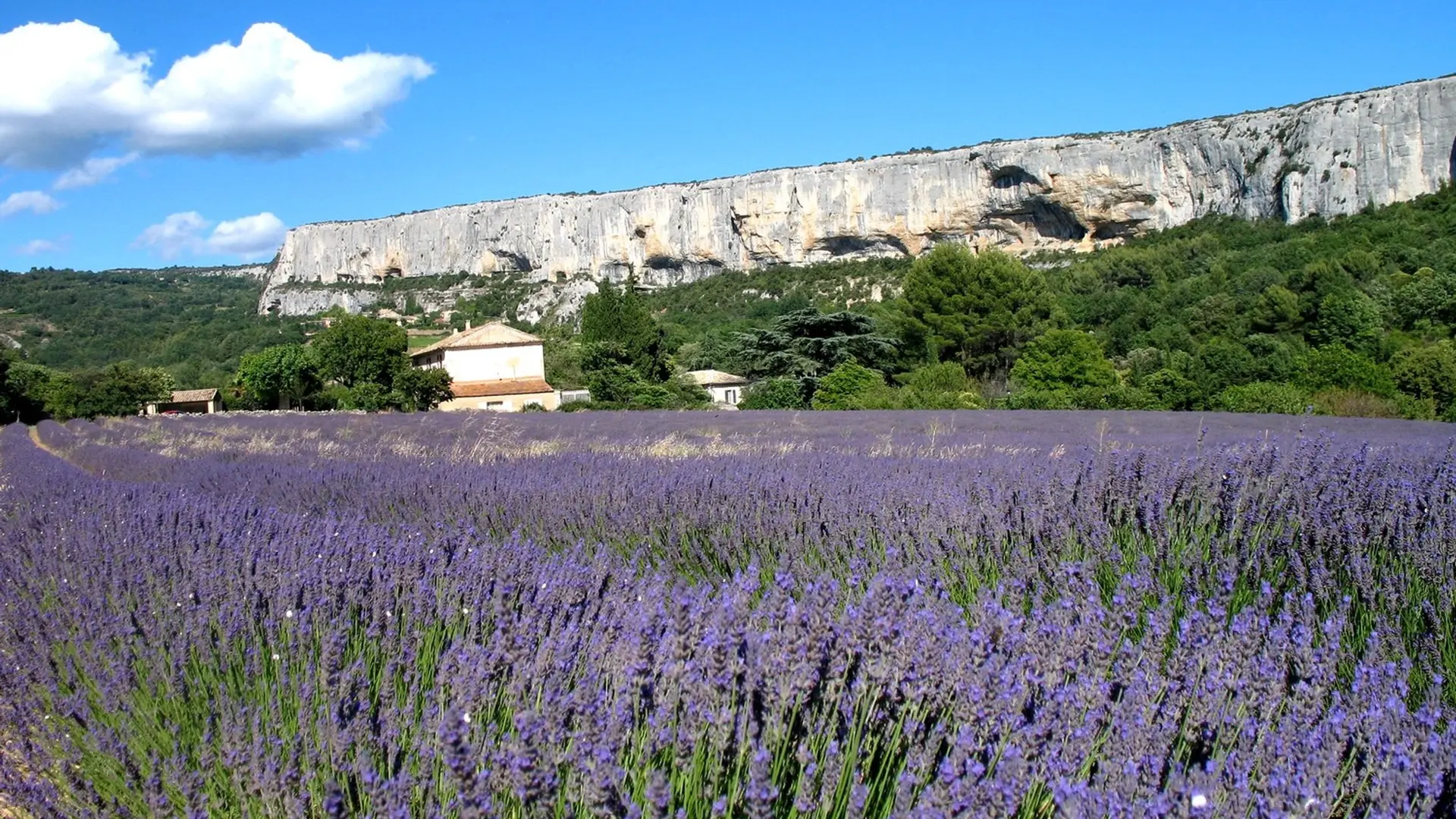 Falaise de la Madeleine