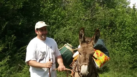 Balade avec les ânes des Villettes