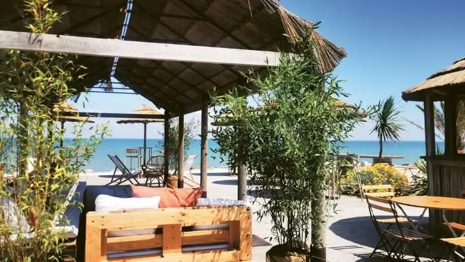 Shaded relaxation area, sofas made from wooden pallets. Greenery and sea view