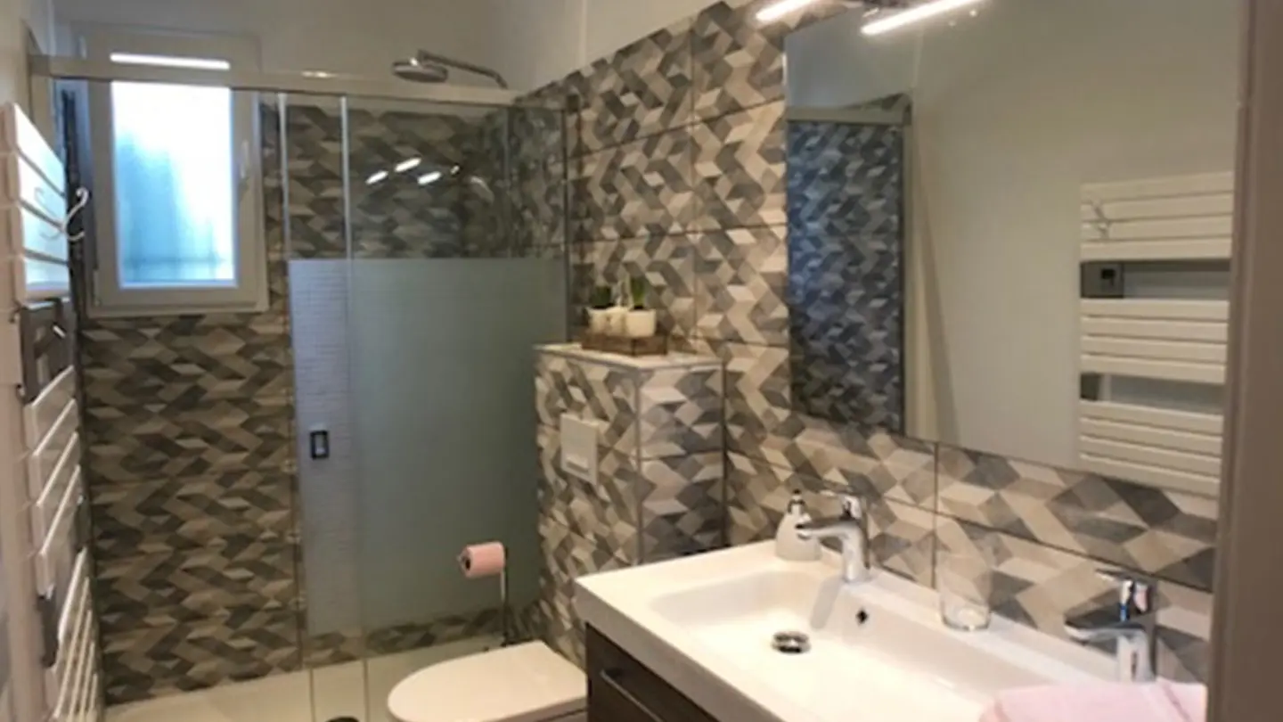 Salle de douche avec WC