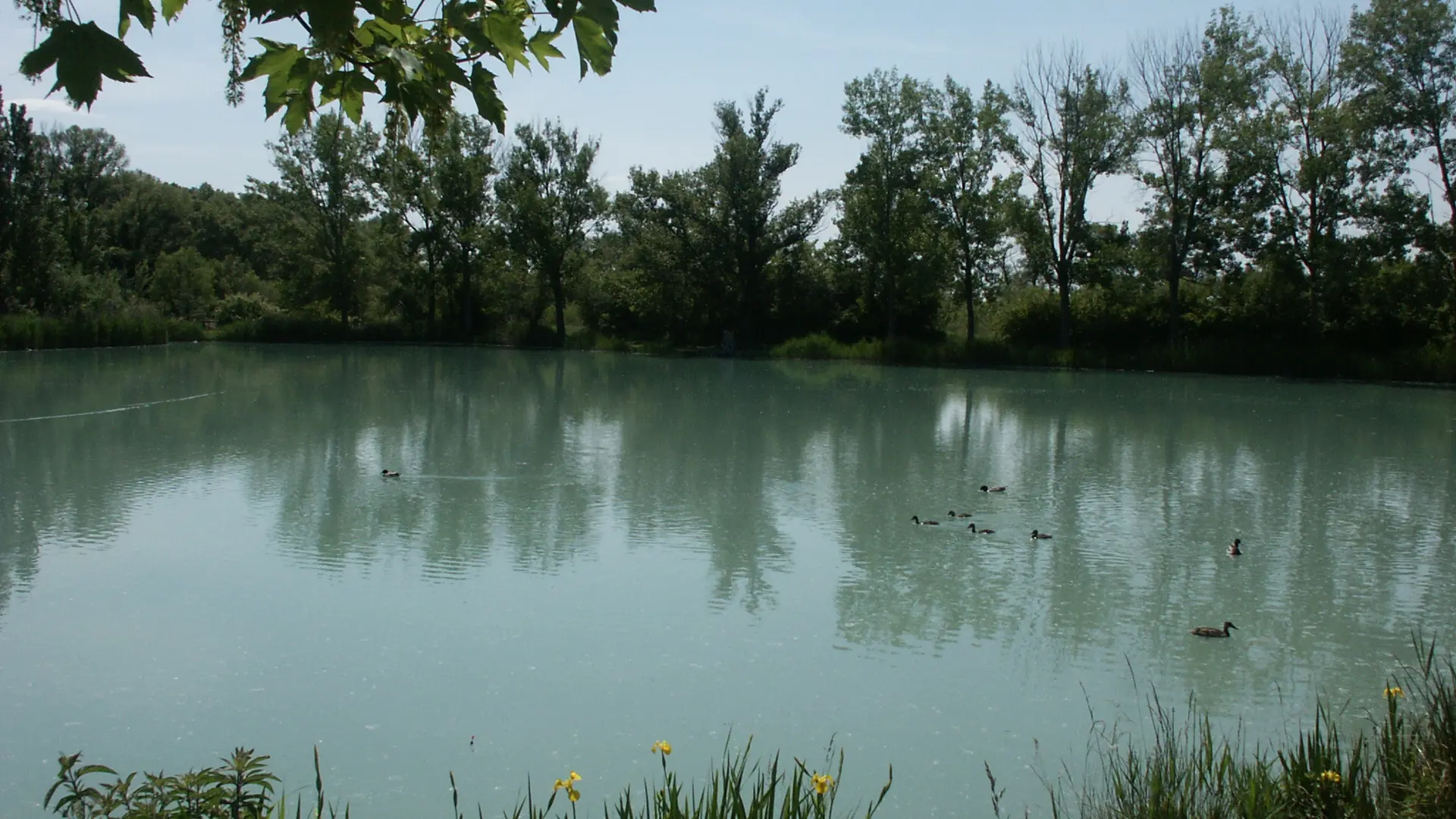 Lac de pêche