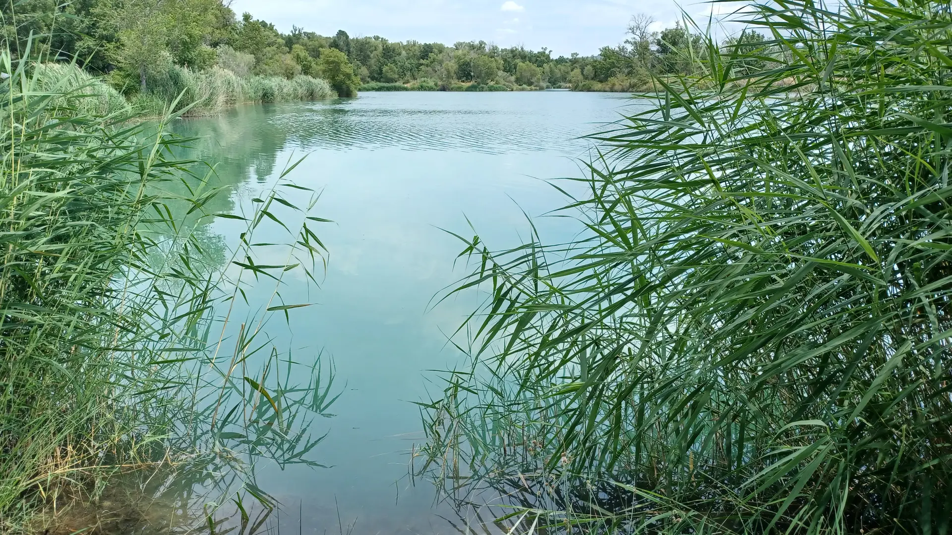 Lac de la forestière