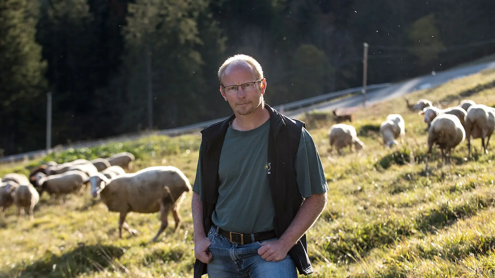 Sébastien Viitoz et ses moutons