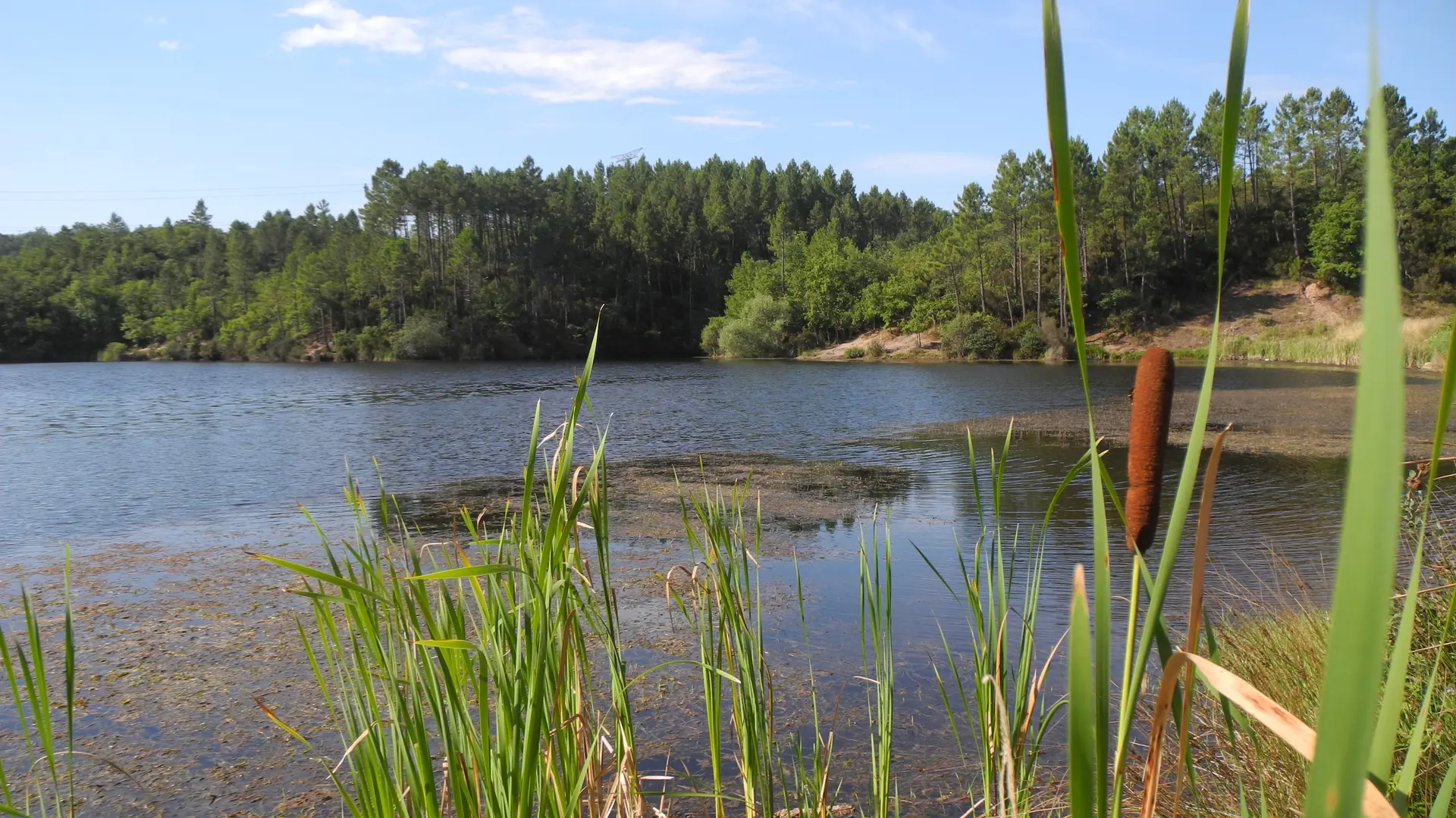 Lac du Rioutard