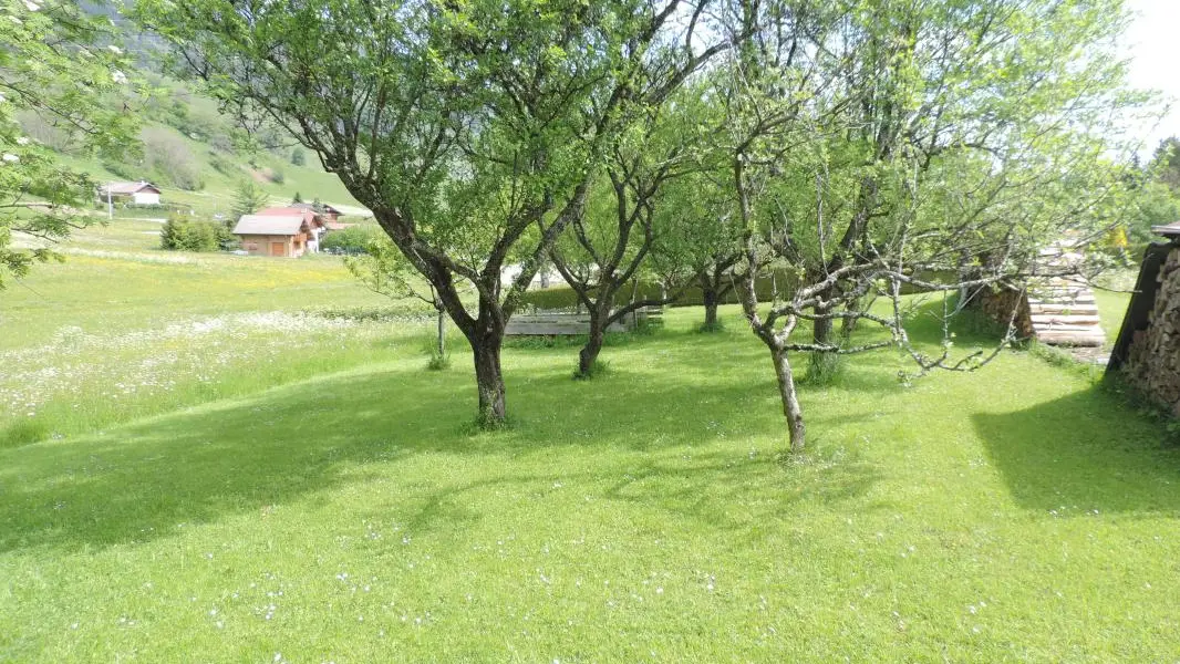 Jardin arboré à l'arrière de la maison