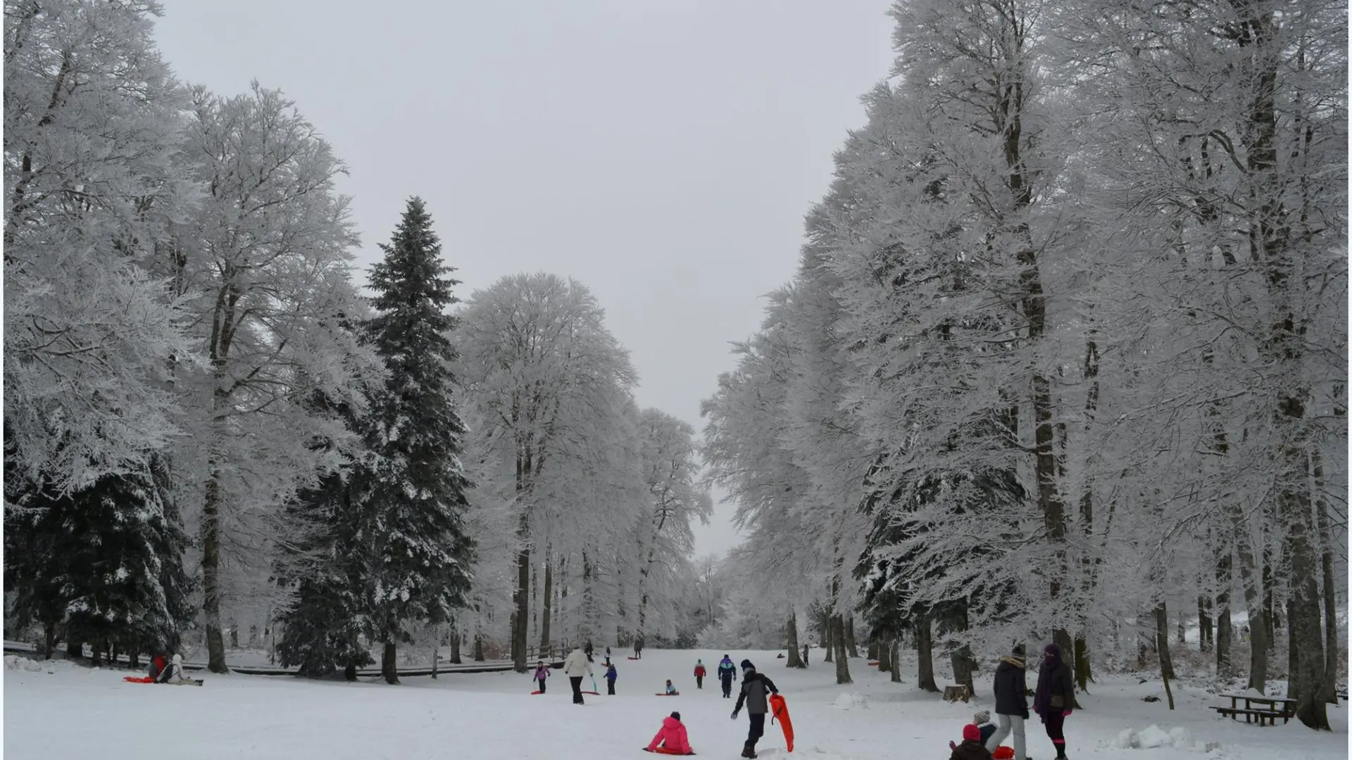 Piste de luge à la Loge des Gardes