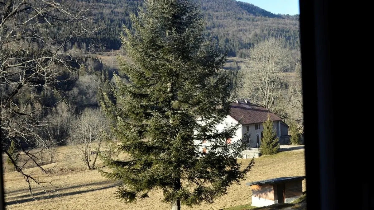 Vue de la cuisine
