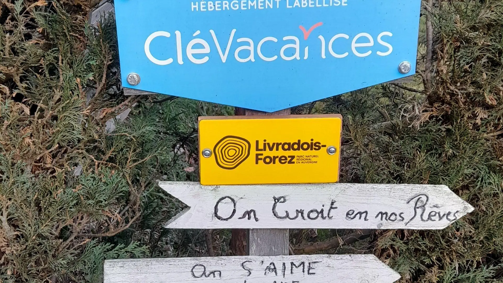 Direction Sensation Nature