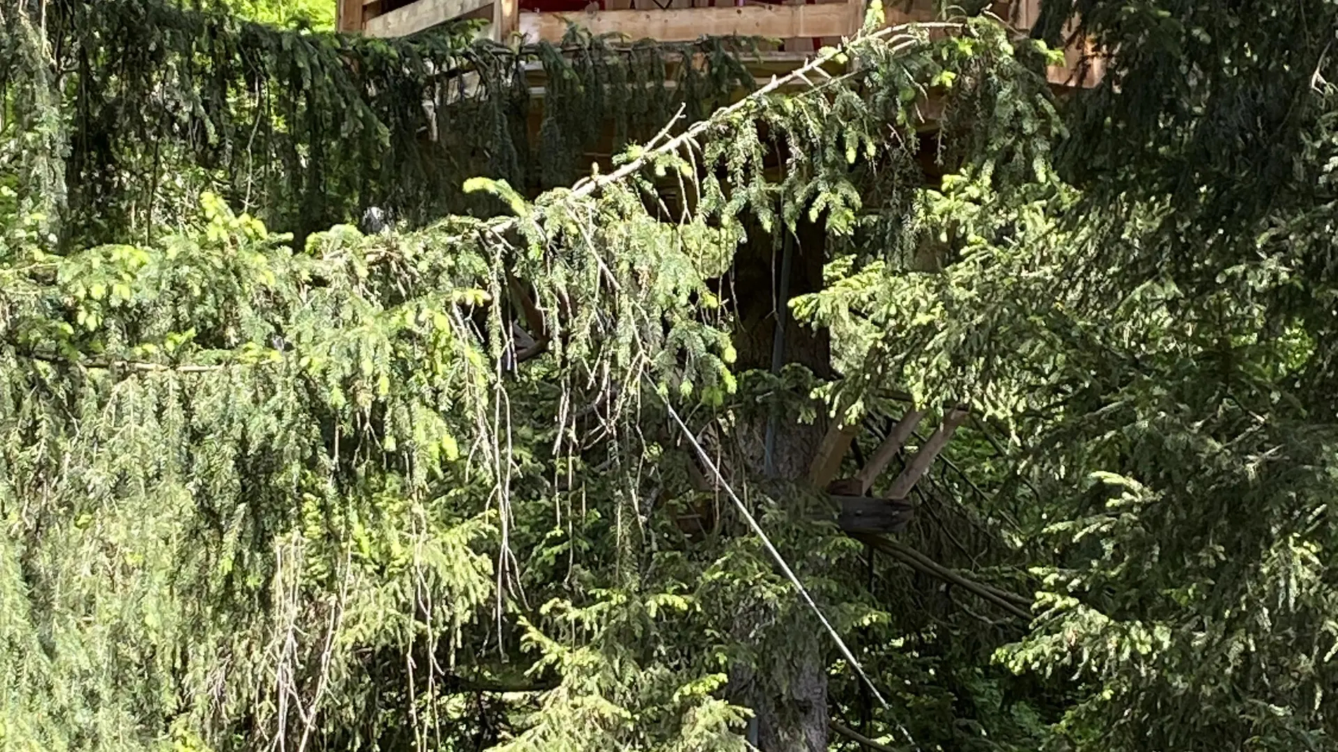 Cabane du Mont Blanc