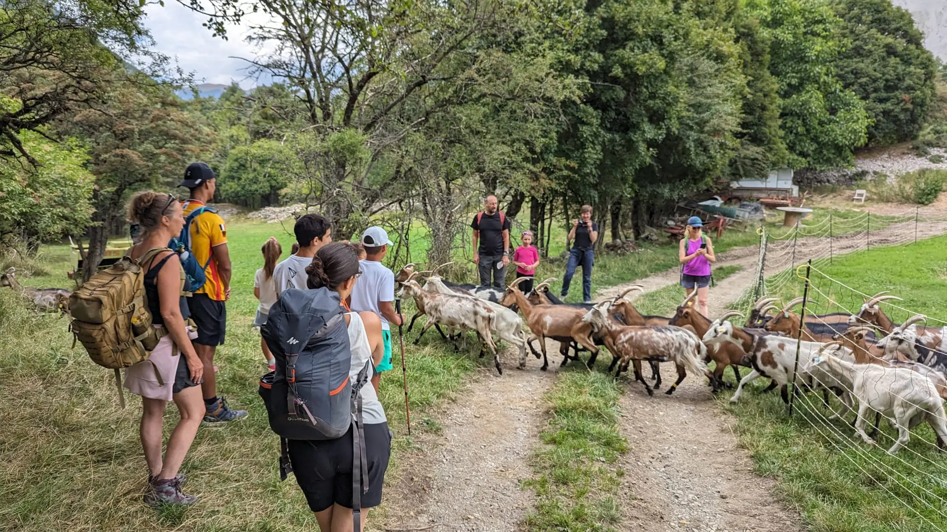 Rando à la chèvrerie du Serre avec Etoile Rando