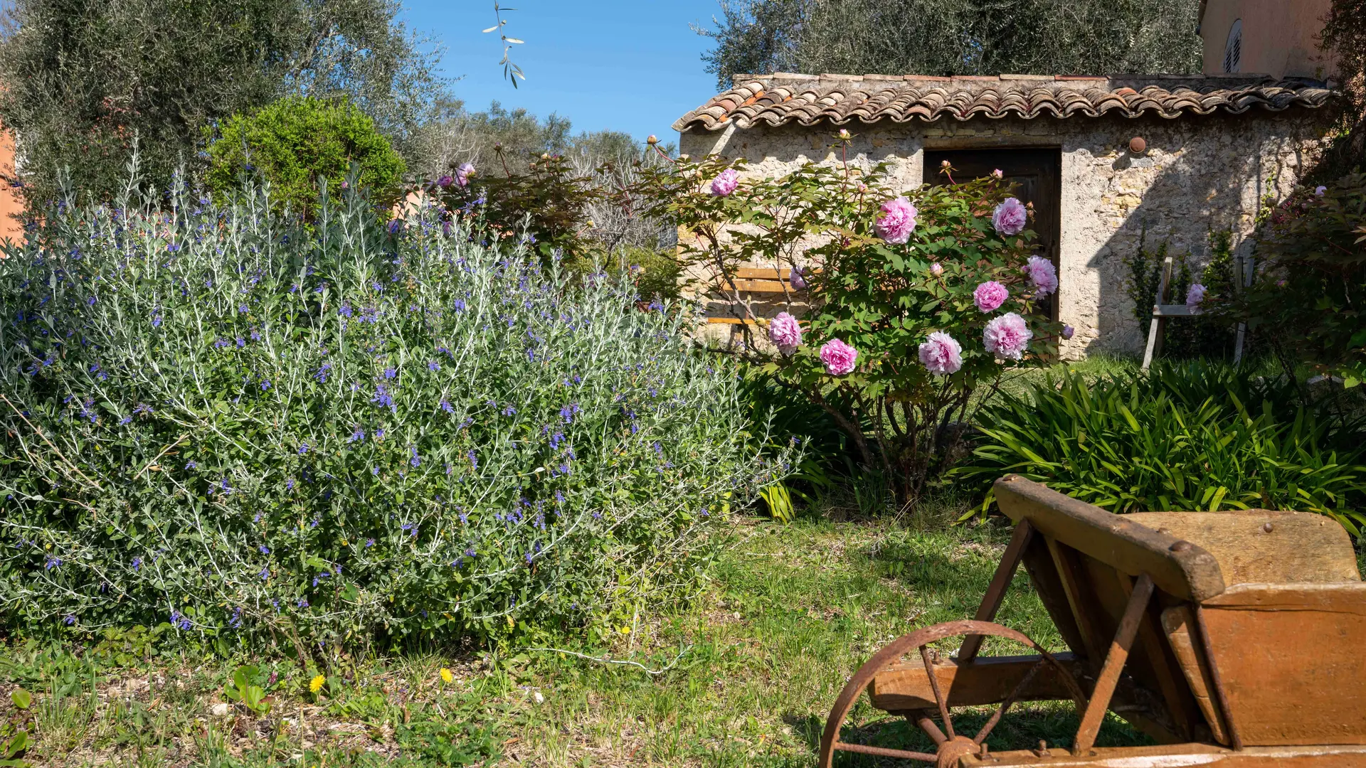 Gîte Villa les Seringas - Espace extérieurs -Mougins- Gîtes de France Alpes-Maritimes