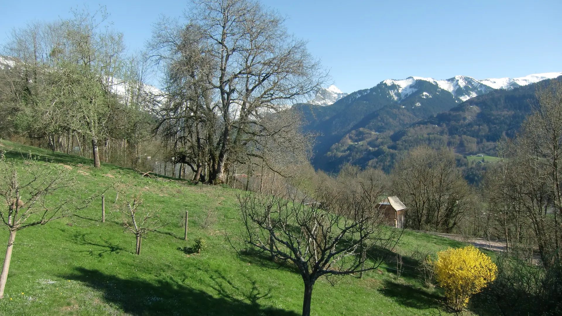 Printemps à l'est