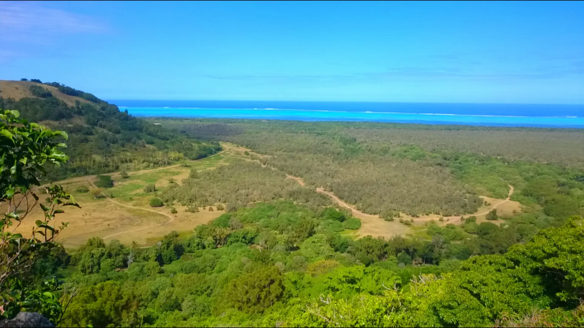 Point de vue