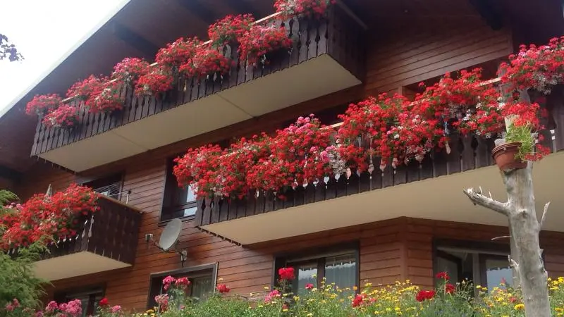 Chalet fleuri