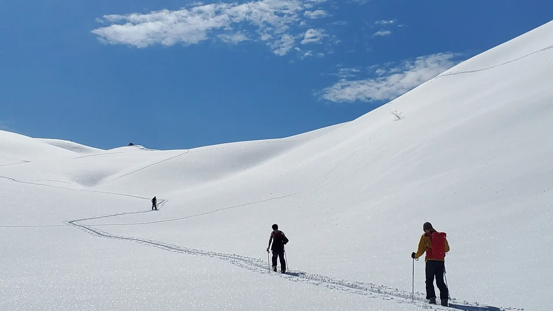 Ski de randonnée