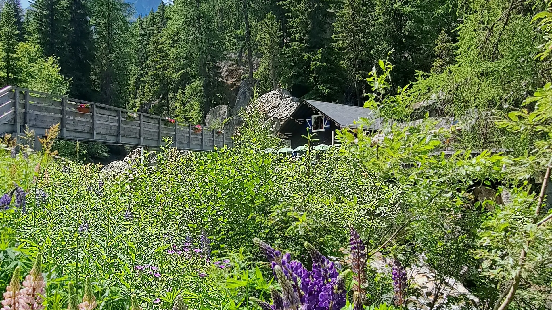 Eté