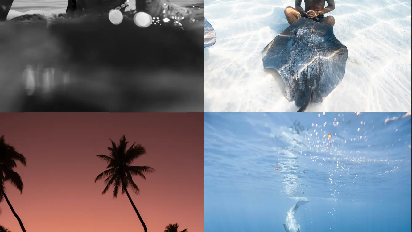 Lgc Photographer_Moorea Maiao