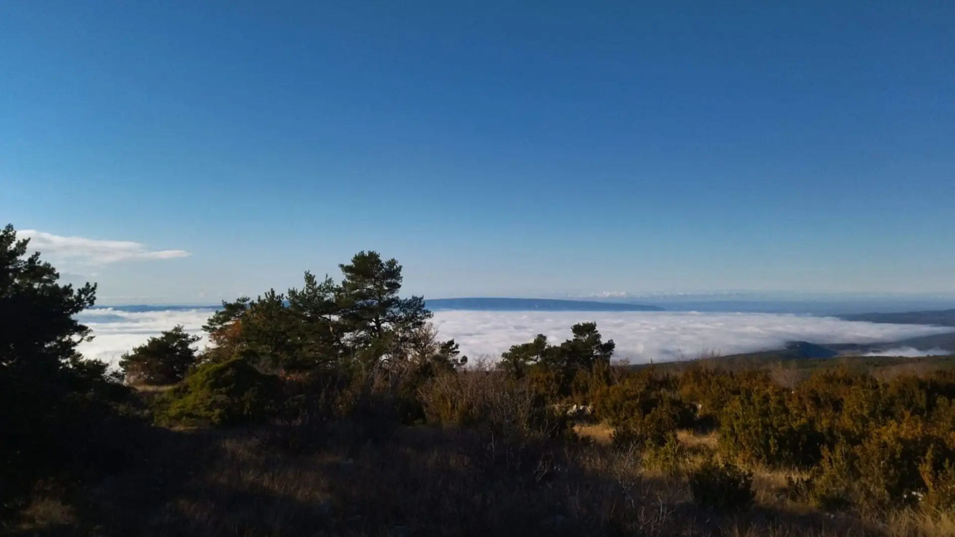 Vue vers l'ouest du Cluyer