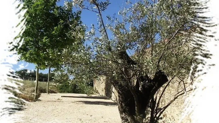 Terrain de boules