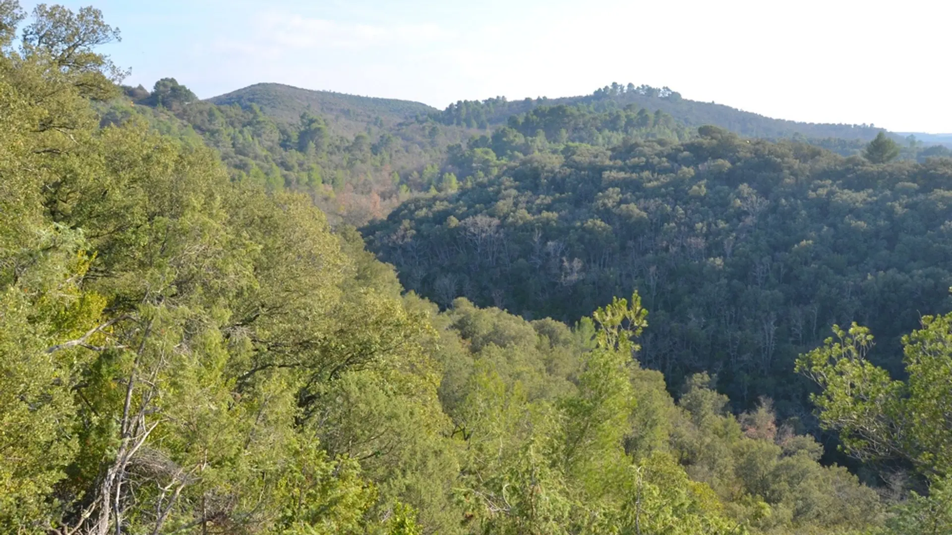Collines du Haut Var