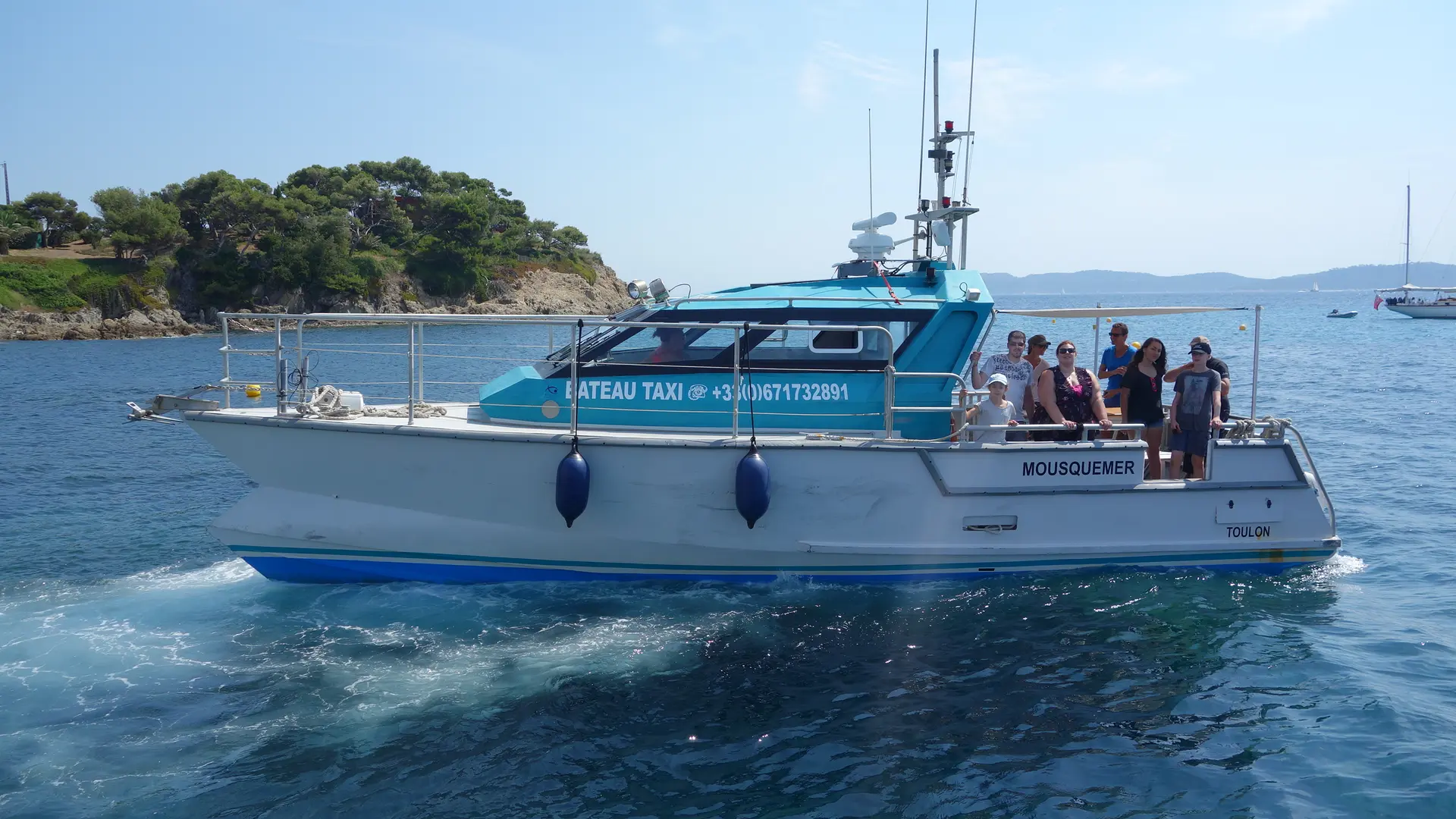 A la rencontre des dauphins et mammifère