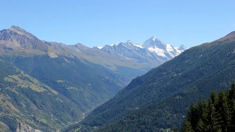 Vue été Chalet la Maya