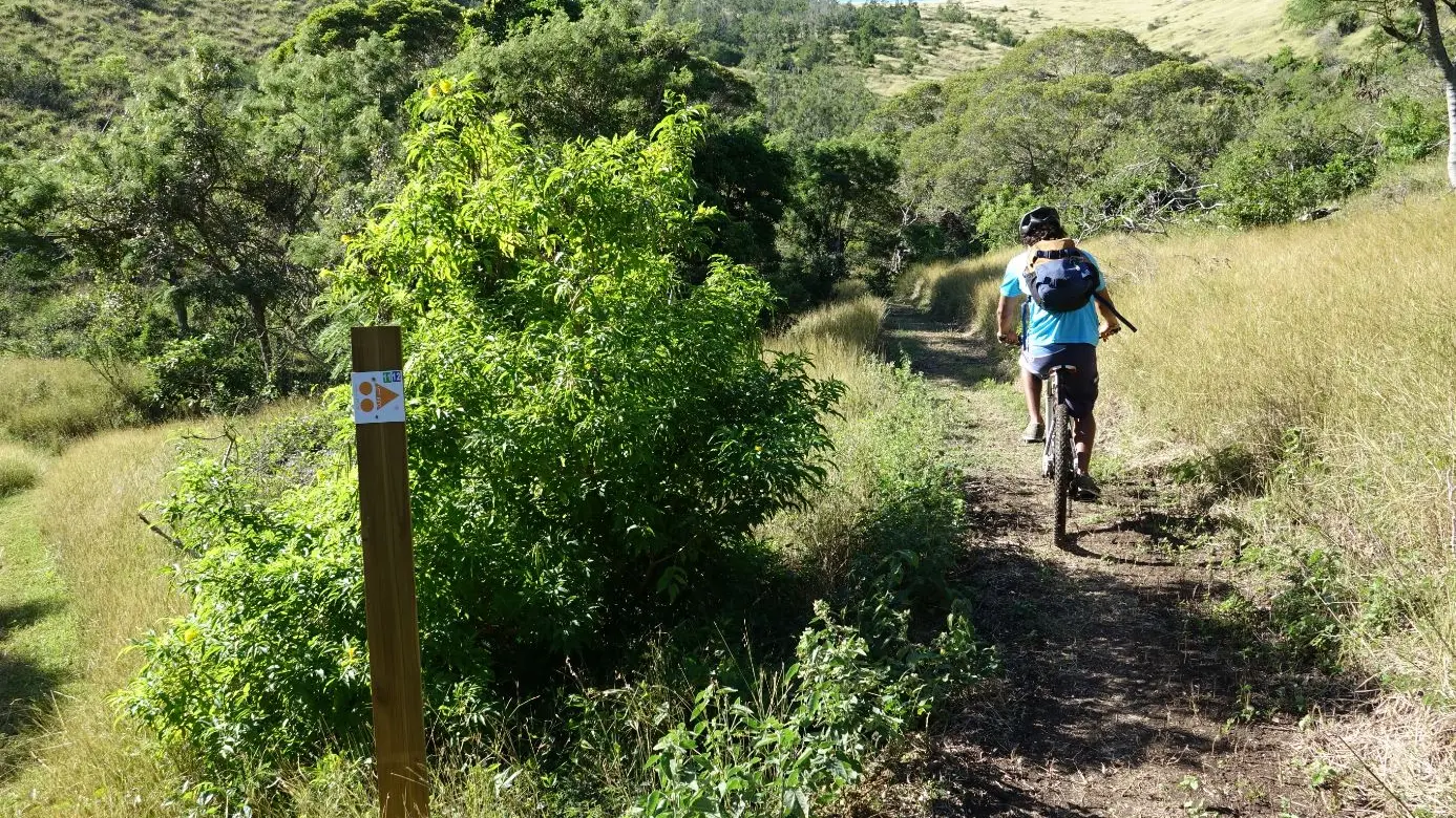 Un des chemins en VTT
