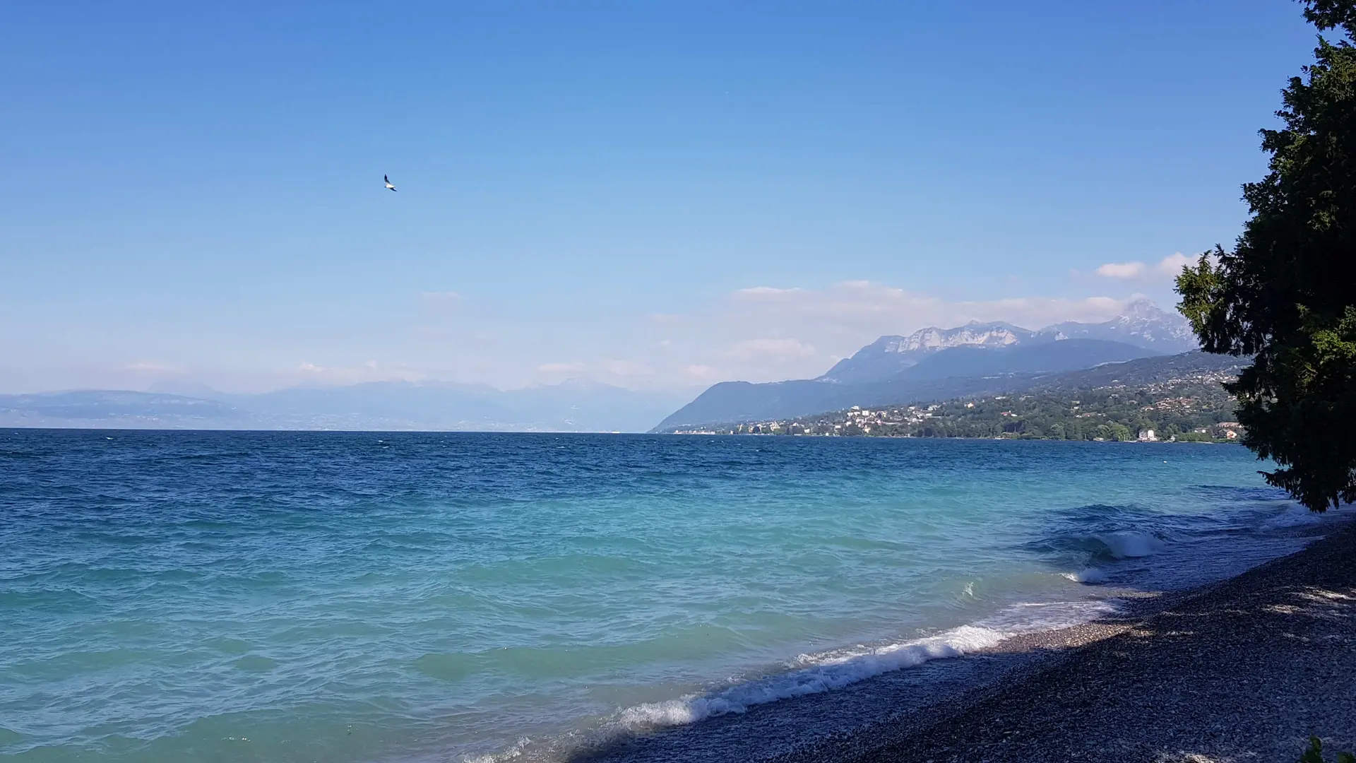 Lac Léman