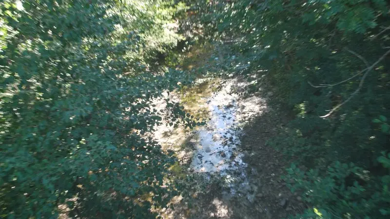 Vue sur le torrent de la Channe