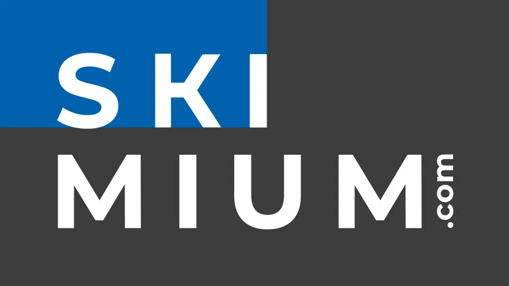 logo.skimium