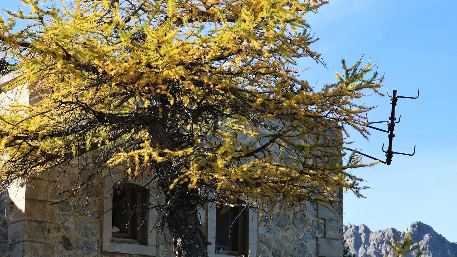 Le fort de la Lausette