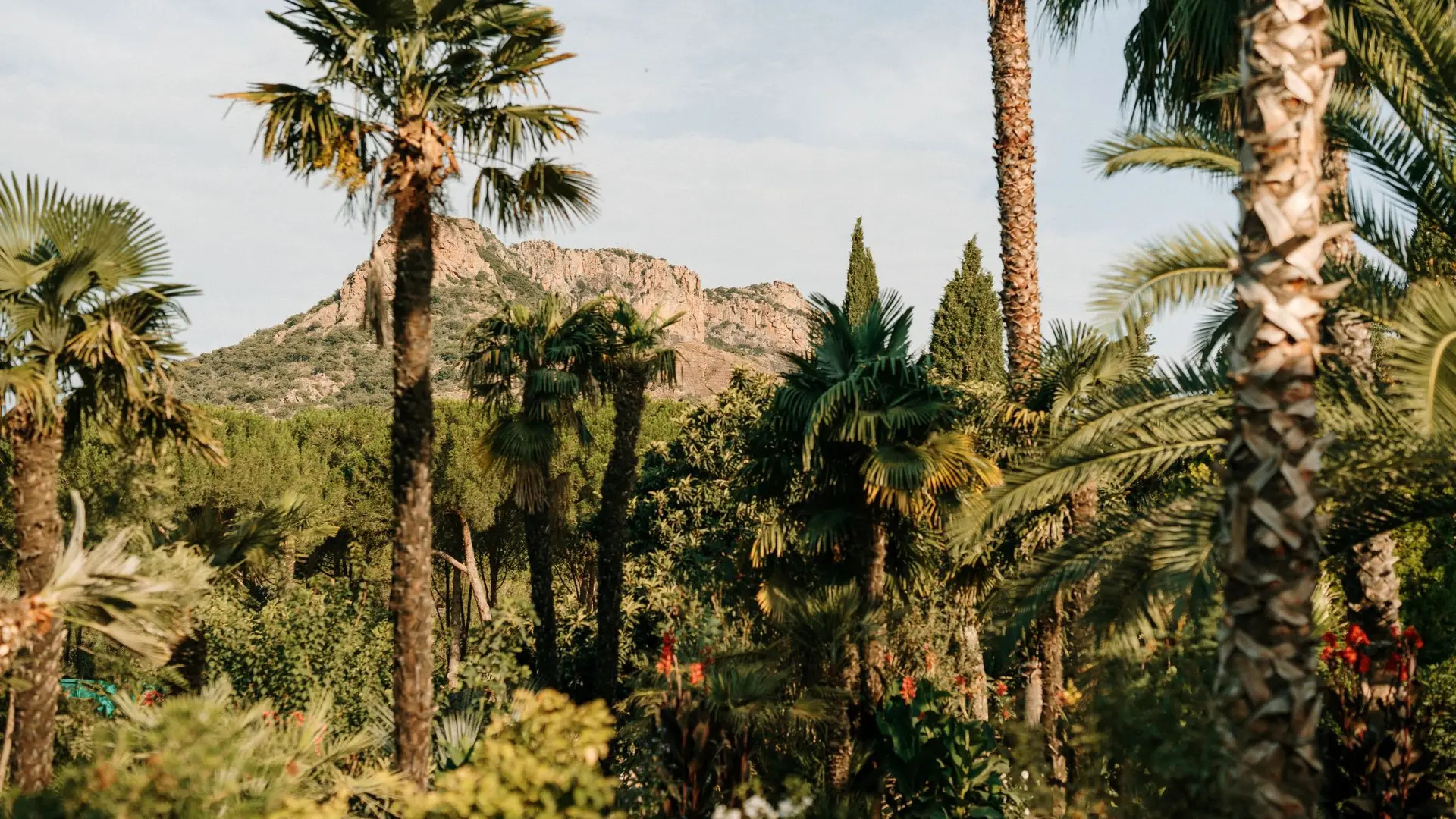 Rocher de Roquebrune vue