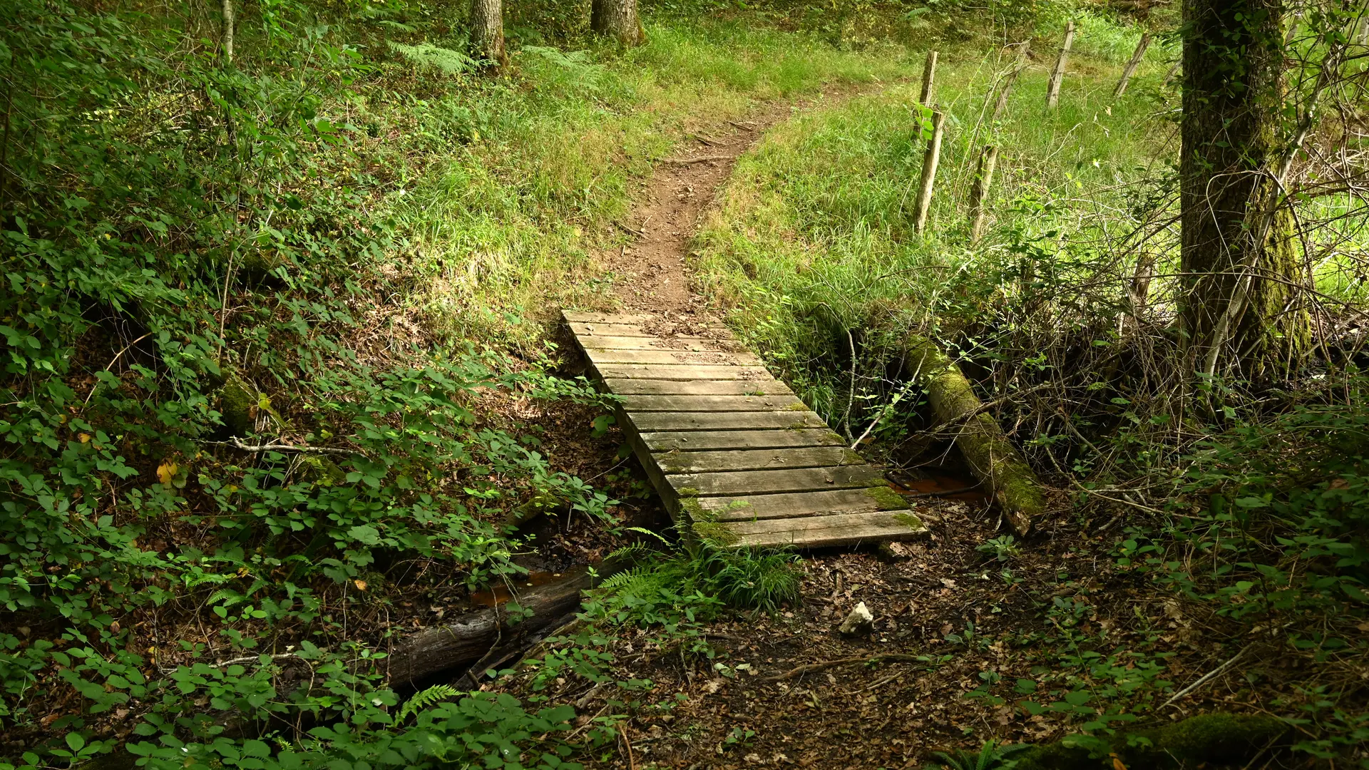 Passerelle au ruisseau