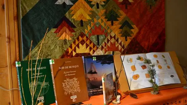 Bibliothèque Abriès