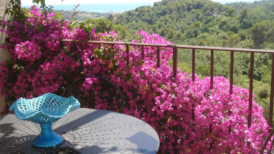 Terrasse Gîte Jacaranda de St Paul de Vence - Gîtes de France Alpes-Maritimes