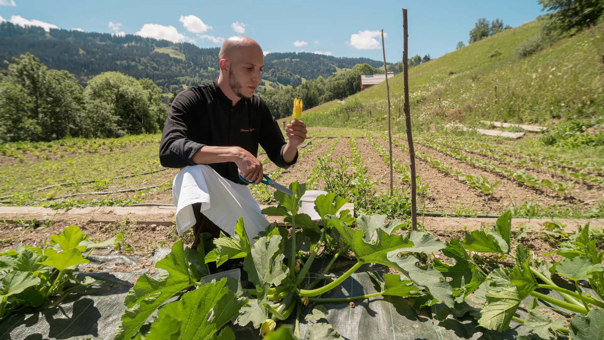Restaurant Le Toî du Monde - Potager