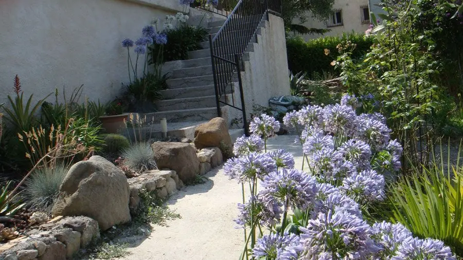 Gîte Mas de la Galinette Glycine- Escaliers haut de la propriété  - Biot - Gîtes de France Alpes-Maritimes.