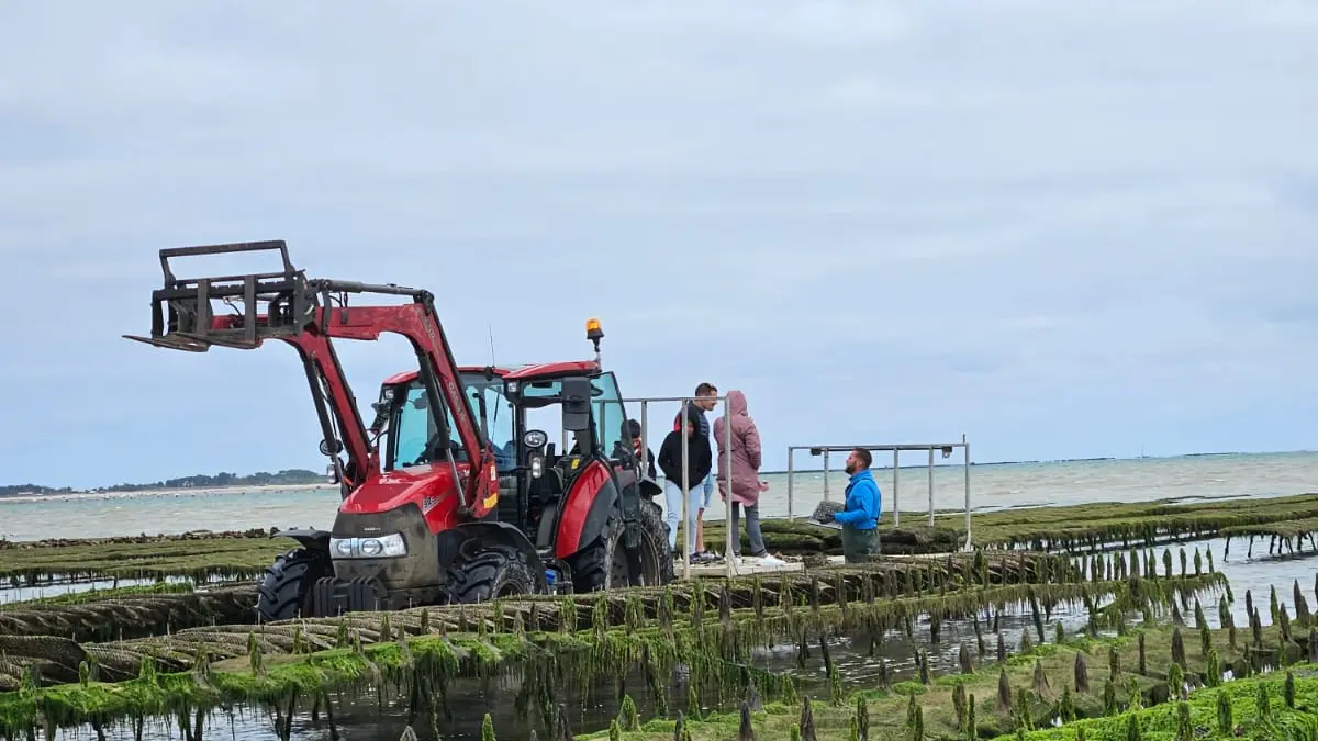 En el corazón de los parques