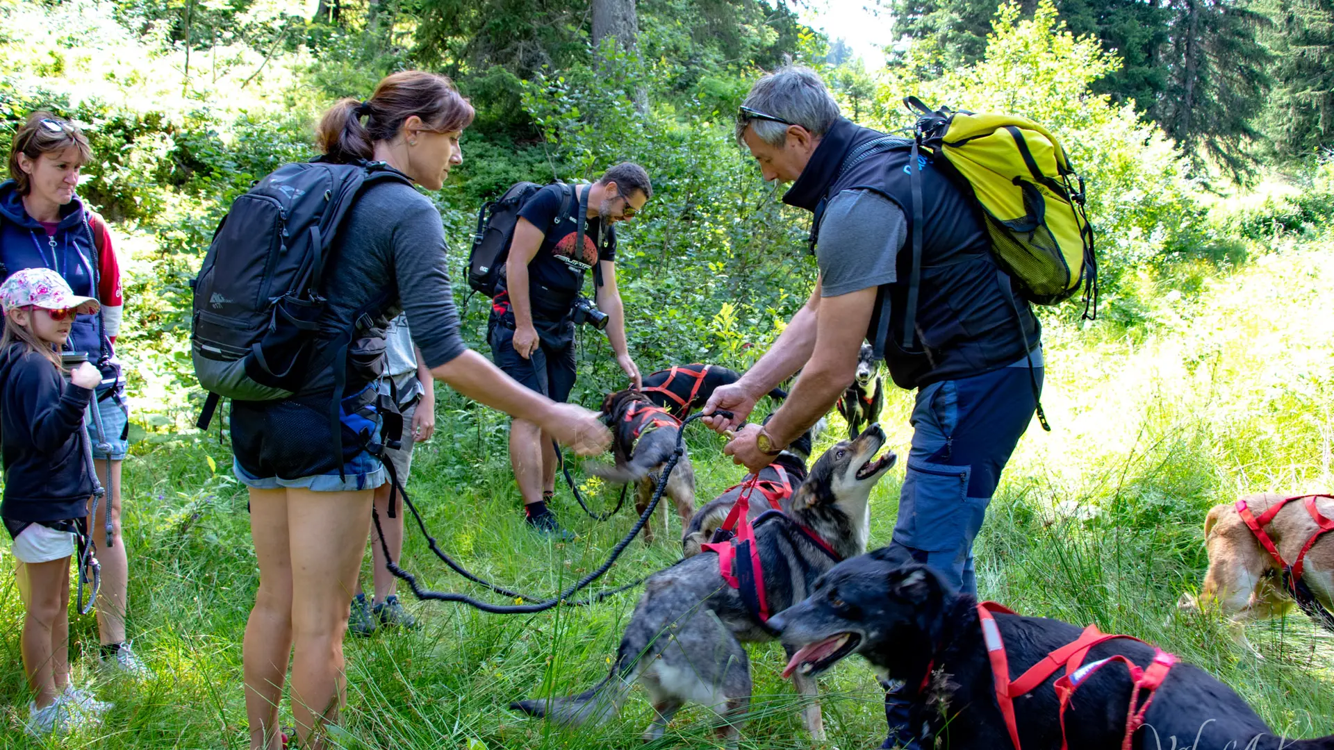 Cani rando à Notre Dame de Bellecombe avec Expérience Montagne