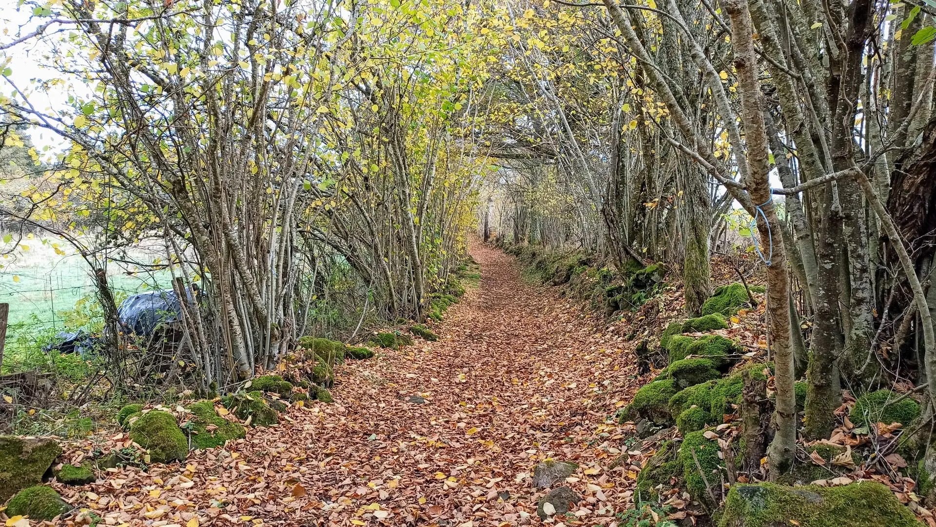 Randonnée VTT La boucle de Veygoux