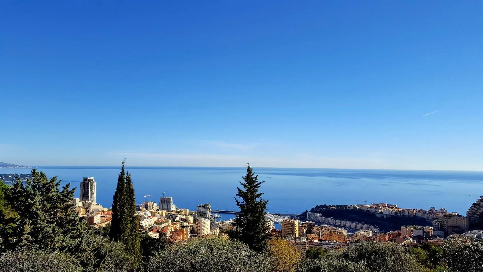 L'Olivier-Vue-Beausoleil-Gîtes de France des Alpes-Maritimes