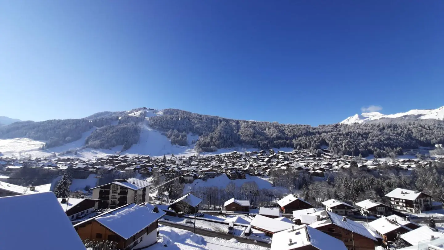 Vue depuis le chalet en hiver